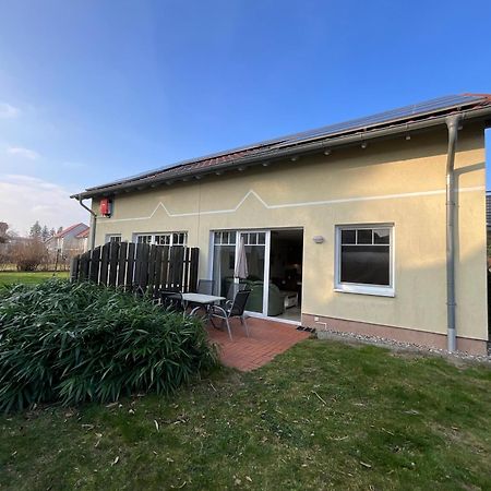 Ferienwohnung Am Muehlenkamp Heringsdorf Dış mekan fotoğraf